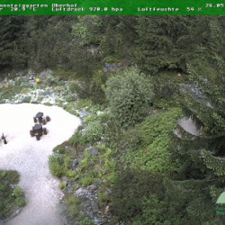 Webcam Rennsteiggarten / Oberhof