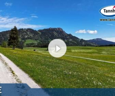 Tannheim - Neunerköpfle / Tirol
