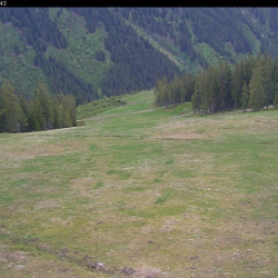 Webcam 5-Sterne-piste / Donnersbachwald - Riesneralm
