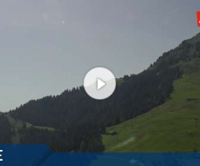 Scheffau / Tirol