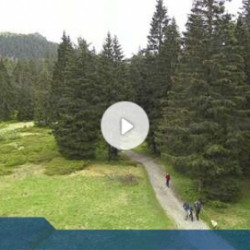 Webcam Chamer Hütte / Bodenmais - Silberberg