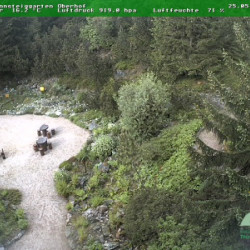 Webcam Rennsteiggarten / Oberhof
