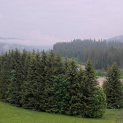 Webcam Bärental / Altglashütten