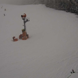 Webcam  / Harrachov