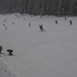 Webcam  / Harrachov