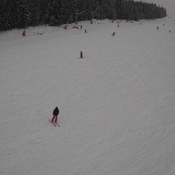 Webcam  / Harrachov