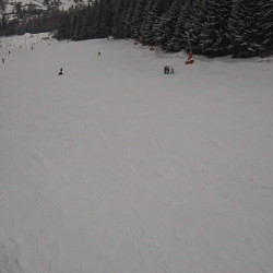 Webcam  / Harrachov