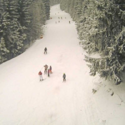 Webcam  / Harrachov