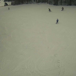 Webcam  / Harrachov