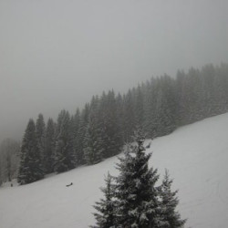 Webcam Svadlenka / Rokytnice n. Jizerou