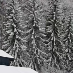 Webcam Svadlenka / Rokytnice n. Jizerou