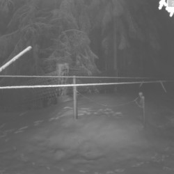 Webcam  / Schellerhau