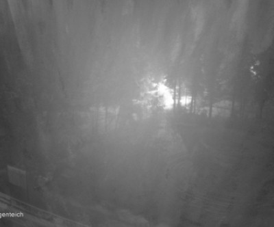 Altenberg / Erzgebirge