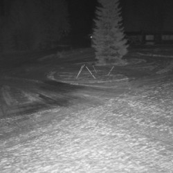 Webcam  / St. Andreasberg - Sonnenberg