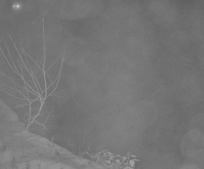 Neuastenberg - Postwiese / Sauerland