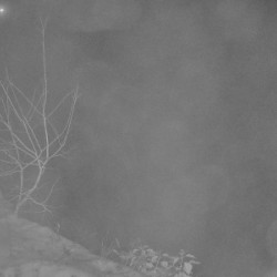 Webcam Rodelbahn / Neuastenberg - Postwiese