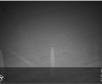 Ruhrquelle / Sauerland