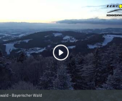 Sonnenwald / Bayerischer Wald