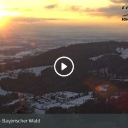 Webcam  / Sonnenwald