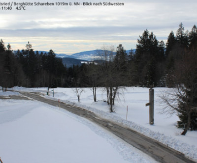 Drachselsried-Riedlberg / Bayerischer Wald