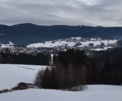 Drachselsried-Riedlberg / Bayerischer Wald