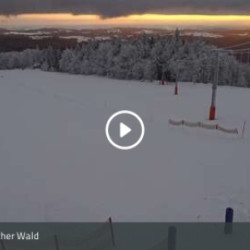 Webcam  / Mitterfirmiansreut - Almberg