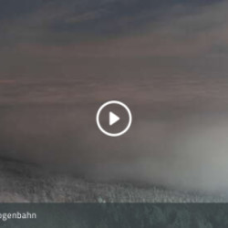 Webcam  / Neukirchen-Hohenbogen