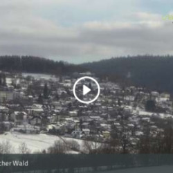 Webcam  / Oberfrauenwald