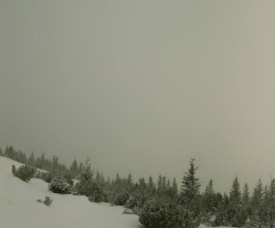 Garmisch-Partenkirchen / Oberbayern