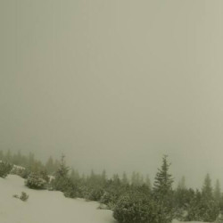 Webcam Wank / Zugspitze