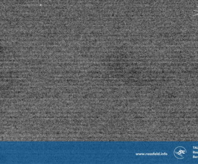 Rossfeld / Oberbayern