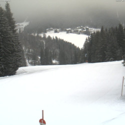 Webcam Piste / Spitzingsee-Tegernsee