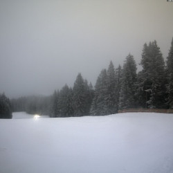 Webcam Scheibelberg / Reit im Winkl - Winklmoosalm