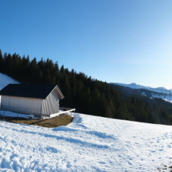 Webcam Gelbhansekopf / Balderschwang