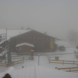 Webcam  / Buching - Buchenberg