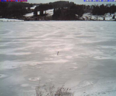 Immenstadt - Alpsee Bergwelt / Allgäu