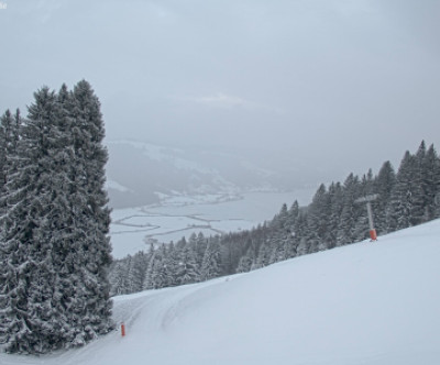 Immenstadt - Alpsee Bergwelt / Allgäu