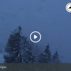 Webcam  / Kranzegg am Grünten