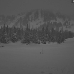 Webcam Alpe Hörmoos / Oberstaufen - Hündle