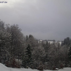 Webcam Alpe Hohenschwand / Oberstaufen - Steibis