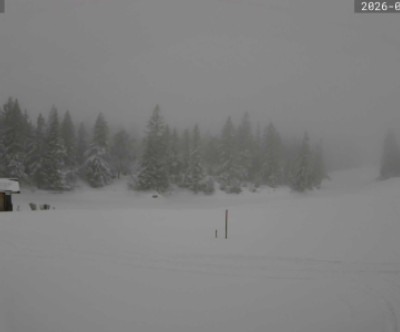 Oberstaufen - Steibis / Allgäu