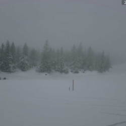 Webcam Alpe Hörmoos / Oberstaufen - Steibis