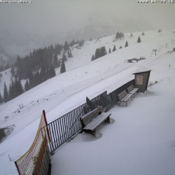 Webcam  / Pfronten - Breitenberg