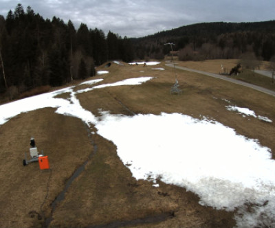 Baiersbronn / Schwarzwald