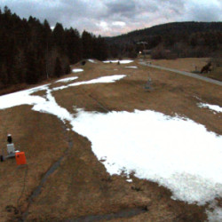 Webcam Obertal / Baiersbronn