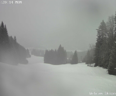 Hinterzarten / Schwarzwald