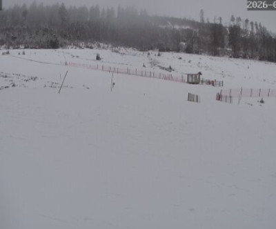 Muggenbrunn / Schwarzwald