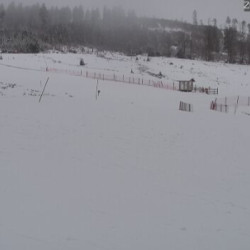 Webcam  / Muggenbrunn