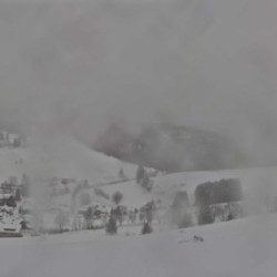 Webcam Panorama / Todtnauberg