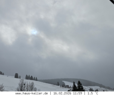 Todtnauberg / Schwarzwald